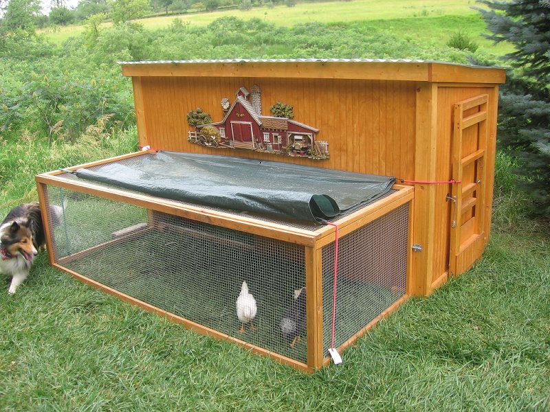 Learning K: How to build a chicken coop inexpensive Diy