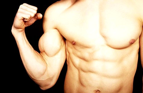 Muscle