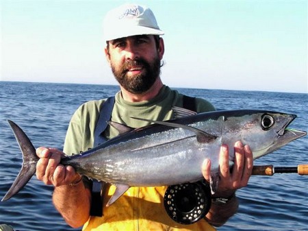 Catch longfin sanddab 
