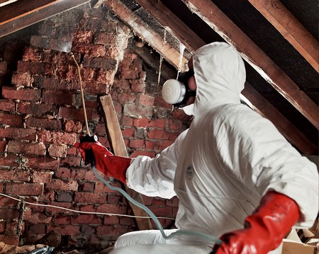 Control Woodworm