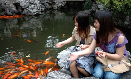 Feeding Fish in Garden