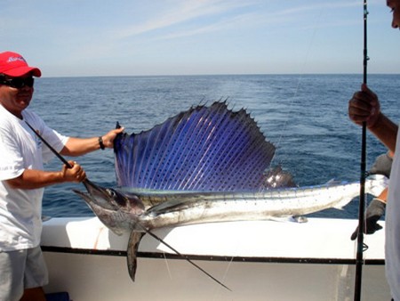 Fishing Trips