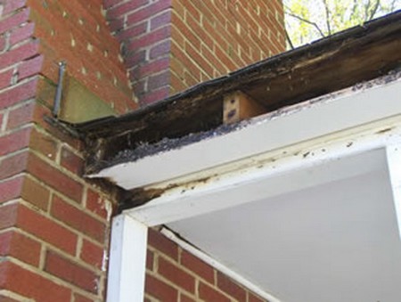 Gutter Boards 