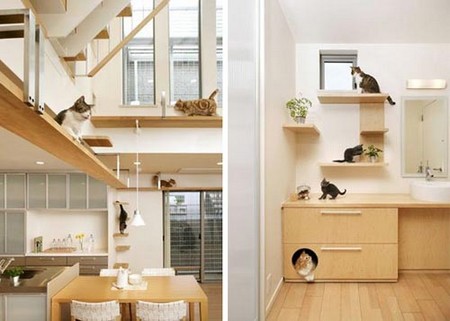 Home Design 