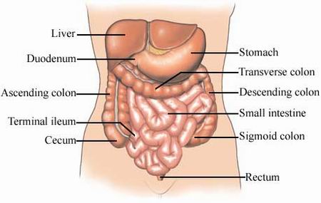 Irritable Bowel Syndrome