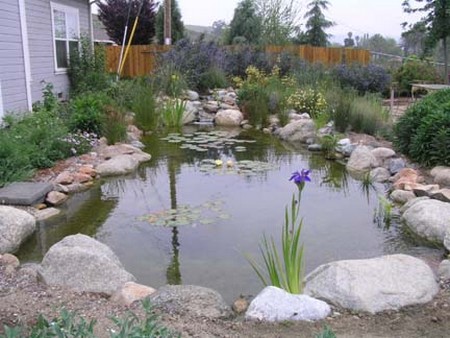 Lined Pond