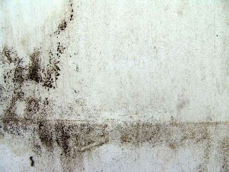 Penetrating Damp 