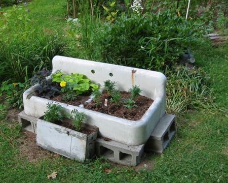 Sink Garden