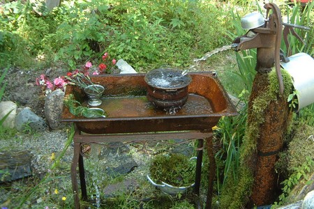 Sink Garden