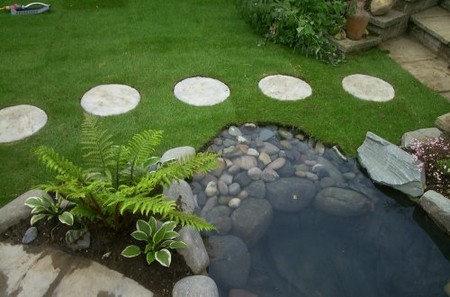 Stepping Stones in Garden