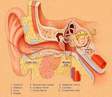 Tinnitus