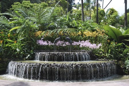 Waterfall garden