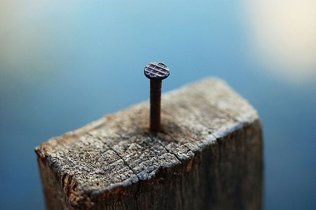 Wood Nail 