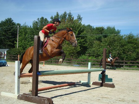 horse Cross-tie