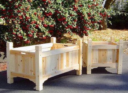 plant  Containers