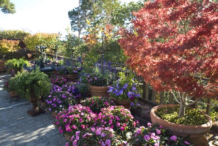 Container Garden