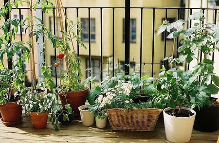 Decorate Screening Balcony Garden