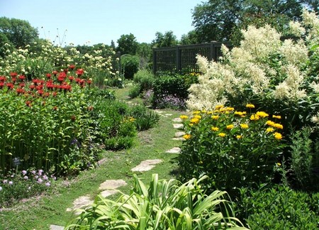 Dream Garden 