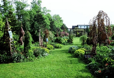 Dream Garden