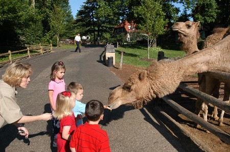 Enjoy Zoos with children 