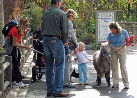 Enjoy Zoos with children