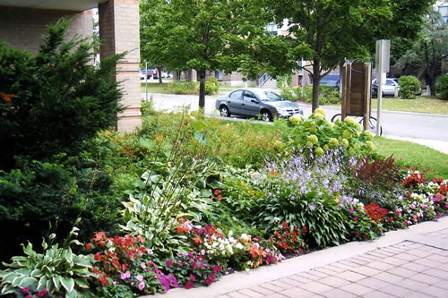 Front Garden