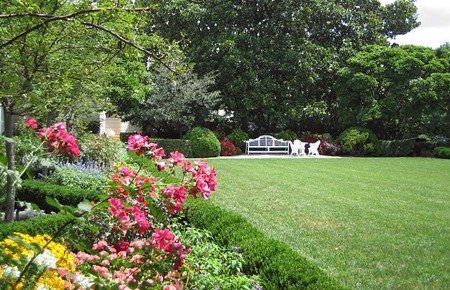 Garden Summer  