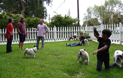 Interacting with Dog
