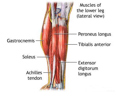 Leg Pain