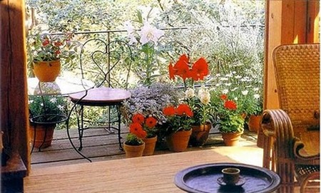 Maintain Balcony Garden