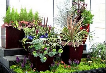 Plant Container Garden