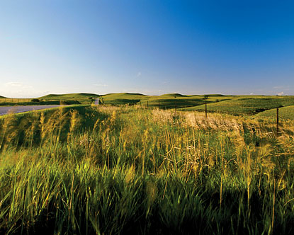 Prairies