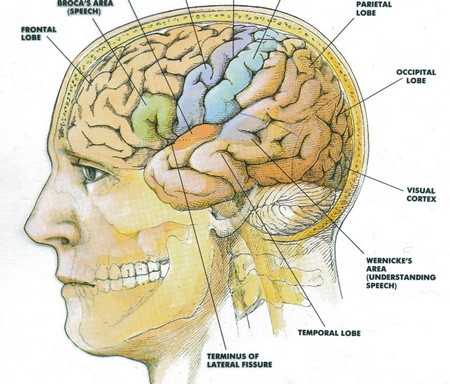Schizophrenia