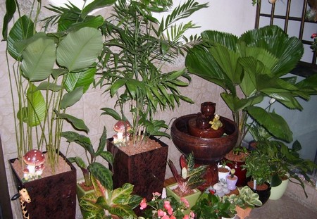 Seclusion Balcony Garden