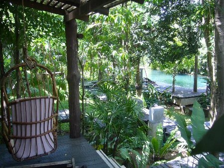 Shade and Shelter Garden
