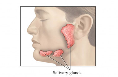 Sjogren's Syndrome