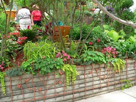 Wall Shrubs  Small Garden