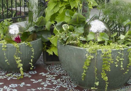 Water Container Garden