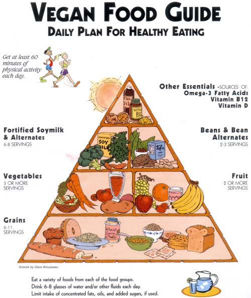 vegan-food-guide