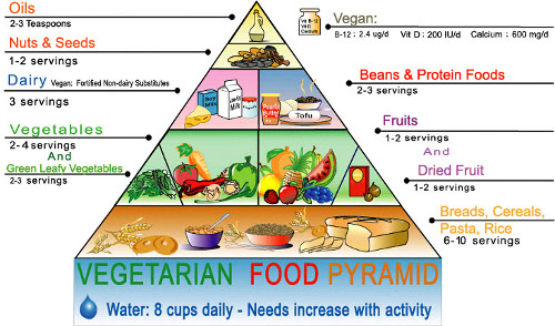 Vegetarian Food Pyramid