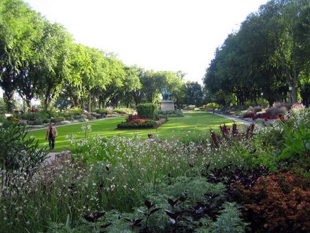 Bedding Plants in garden