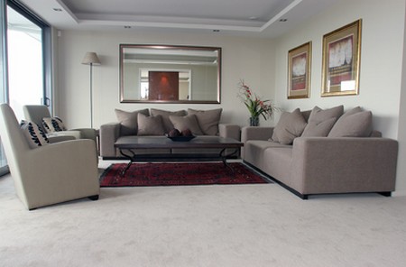 Care Carpet 