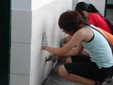 Cleaning Walls