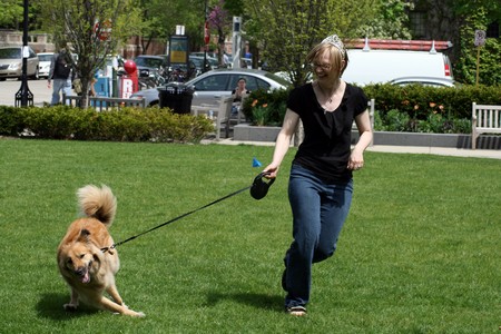 Dog Leashe