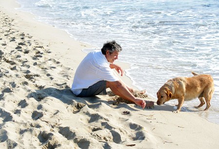 Dog  Respond  Call 