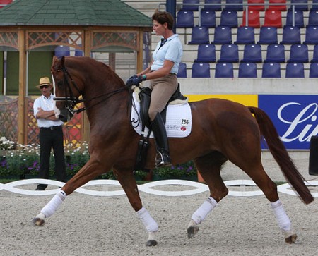 Dressage