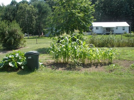 First Garden