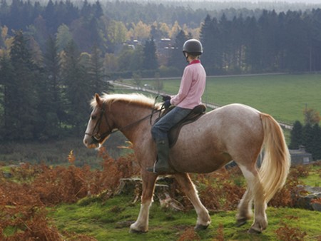 Horse Riding 