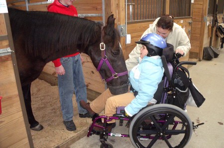 Horse Riding Injuries 5