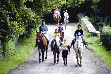 Horse Riding Lessons